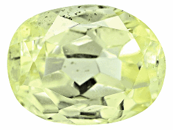 T100V00015