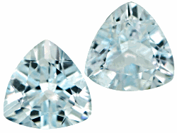 ACTBG22909