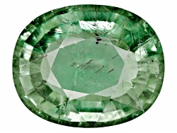 XTG2558