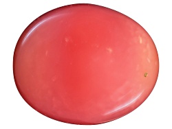 PH004