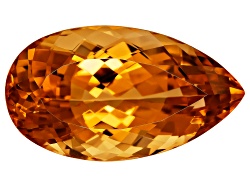 XTG3061