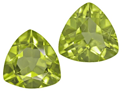 PET041