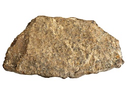 COL990